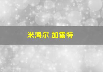 米海尔 加雷特